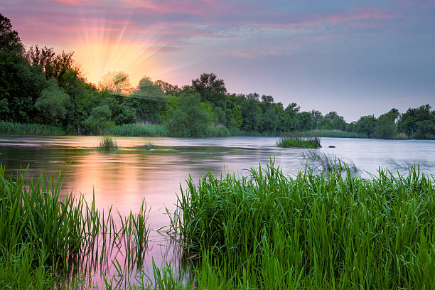 hermoso colorido mañana cerca del río - meadow sunrise fog sky fotografías e imágenes de stock