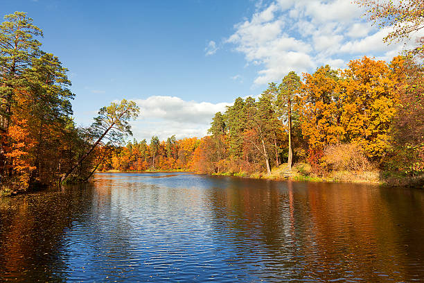 istock Colorful autumn trees fortress at the river front 496482870