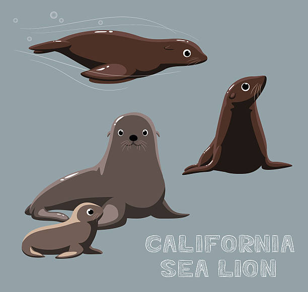 california sea lion cartoon vector illustration - denizaslanıgiller stock illustrations
