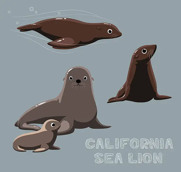 Vector illustration of California Sea Lion Cartoon Vector Illustration