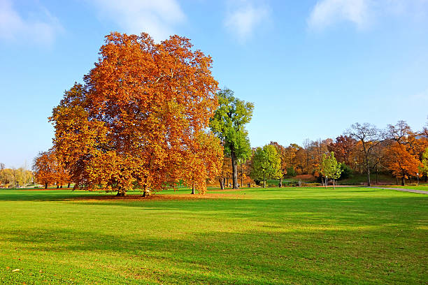 istock Colorful autumn landscape 496483956
