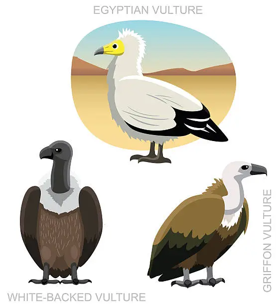 Vector illustration of Bird Old World Vulture Set Cartoon Vector Illustration