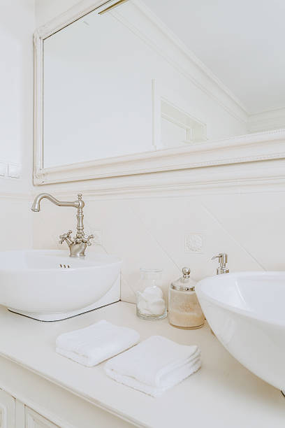 istock Place for the morning toilet 496484616