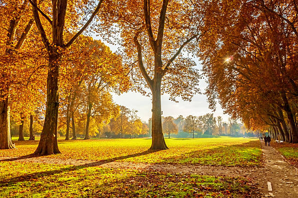 istock Colorful autumn landscape 496485516