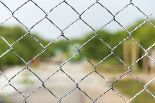istock Steel mesh fence on outdoor 496485940