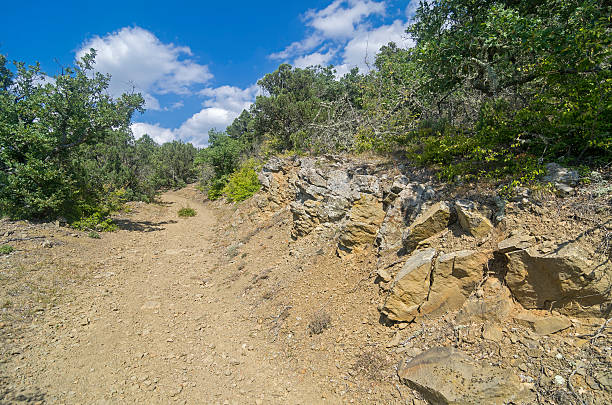 istock Dirt road in the Crimean mountains. 496486392