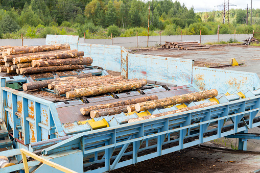 Sort logs at the sawmill