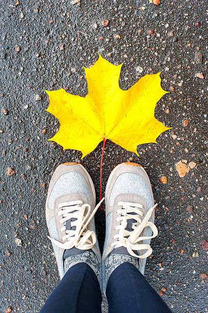 istock Autumn. Looking at big maple yellow leaf from above. 496487304