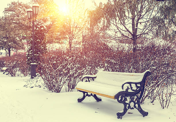 istock Benches in the winter city park which has been filled 496487616