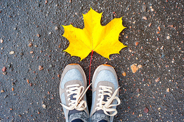 Autumn. Looking at big maple yellow leaf from above.
