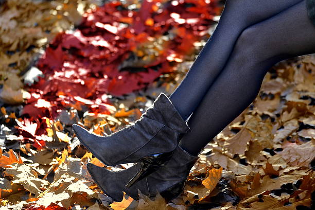 gambe di donna in autunno foglie - collant foto e immagini stock