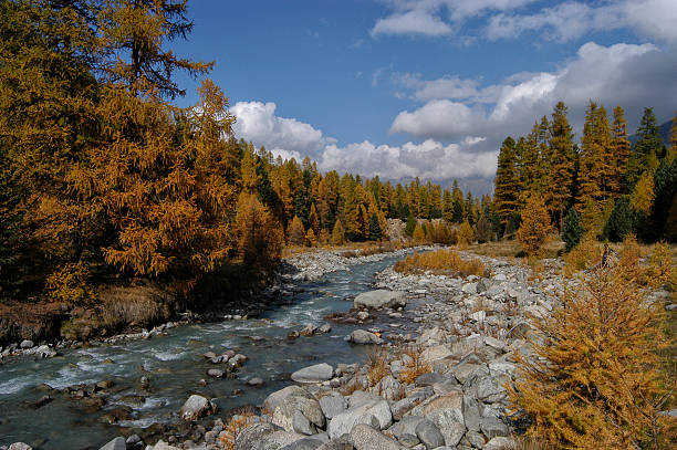 istock Creek in the Engadine 496488712