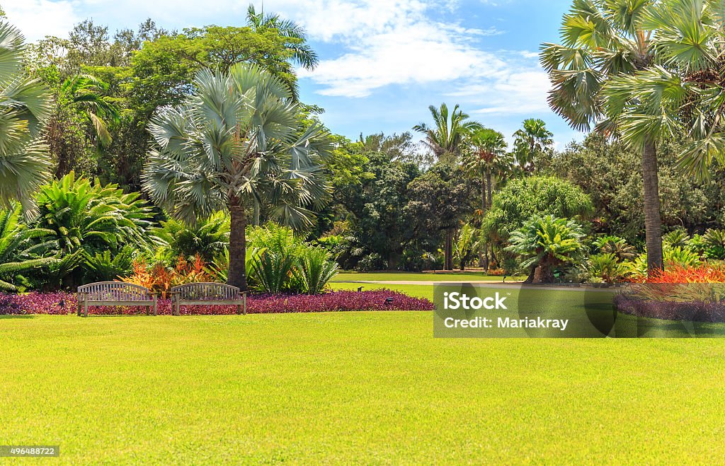 Fairchild tropical botanic garden, Miami, FL, USA Fairchild tropical botanical garden, Miami, FL, USA. Beautiful palm trees with reflection in lake Florida - US State Stock Photo