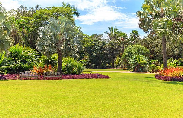 Fairchild tropical botanic garden, Miami, FL, USA Fairchild tropical botanical garden, Miami, FL, USA. Beautiful palm trees with reflection in lake miami tropical park stock pictures, royalty-free photos & images