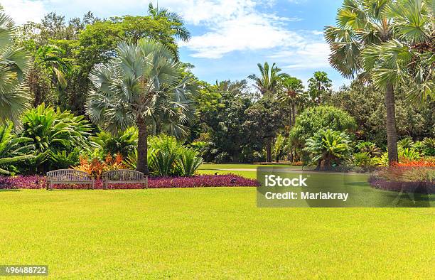 Fairchild Tropical Botanic Garden Miami Fl Usa Stock Photo - Download Image Now - Florida - US State, Public Park, Tropical Climate
