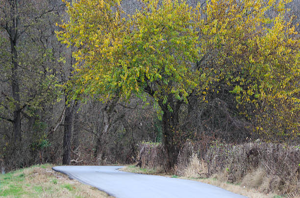 istock Kentucky Country Road in Autumn 496489244