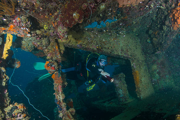 istock Helmet Wreck and diver - Palau, Micronesia 496490808