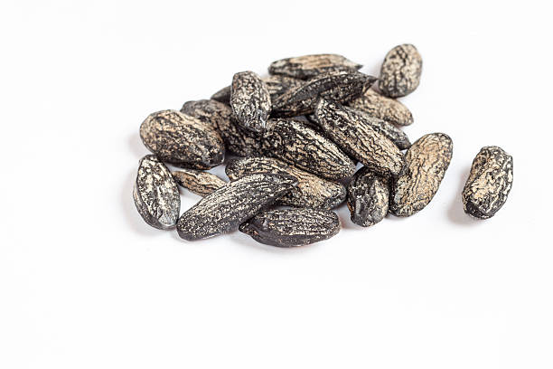 istock Tonkabohnen, Freisteller 496493336