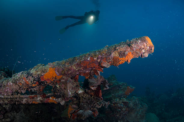 istock Helmet Wreck and diver - Palau, Micronesia 496494058