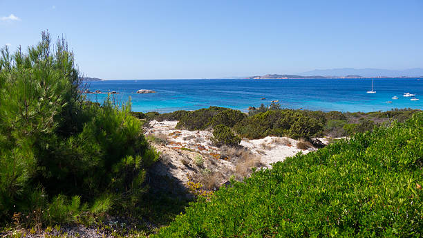 istock La Maddalena island 496510770