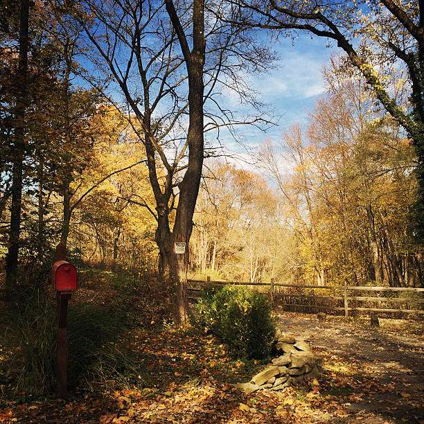 Rural Autumn scene with red mailbox and no hunting sign.   iPhone
