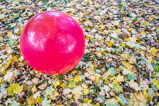 istock Swiss exercise ball outdoors 496512422