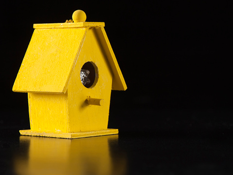 One of a series of bird house images in colours of UK political parties.