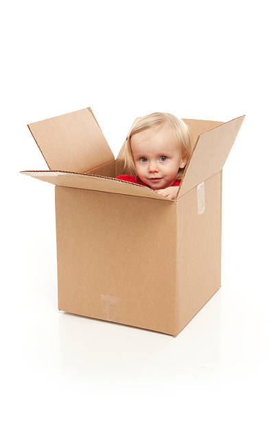 istock Little Girl Playing in Corrugated Box on White Background 496513860