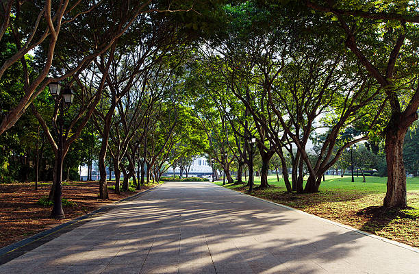 istock Autumn alley with trees 496514052