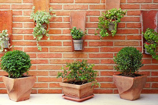 Ceramic and Zinc Plant Pots on a Red Brick Wall