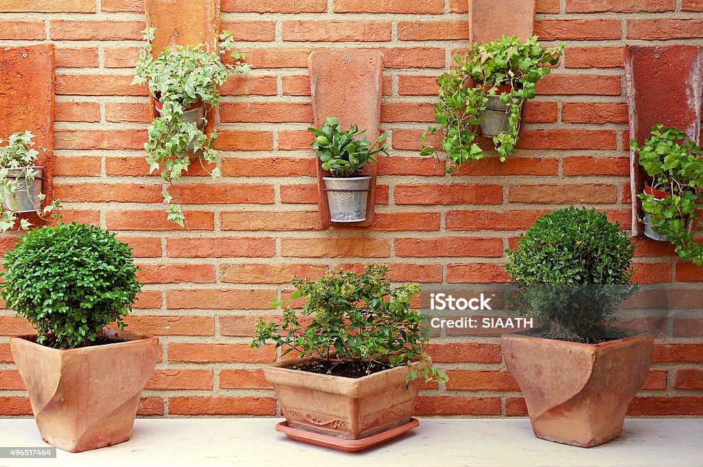 Vertical Garden Ceramic and Zinc Plant Pots on a Red Brick Wall Vertical Garden Stock Photo