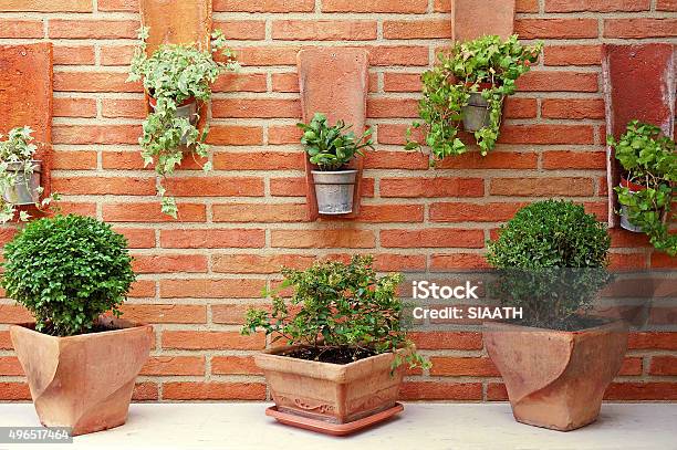 Vertical Garden Stock Photo - Download Image Now - Vertical Garden, 2015, Architecture