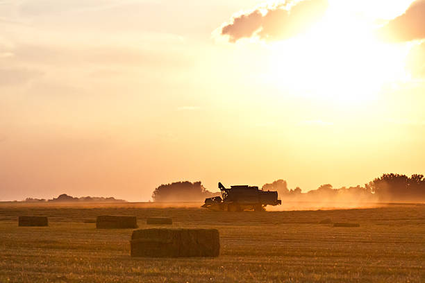 istock Combine harvester at sunset in a field 496517955