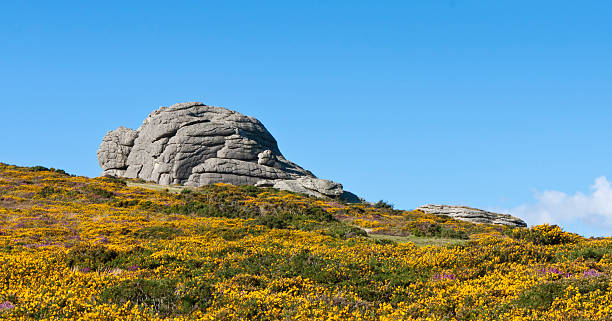 haytor pedras. - dartmoor haytor rocks rock outcrop imagens e fotografias de stock