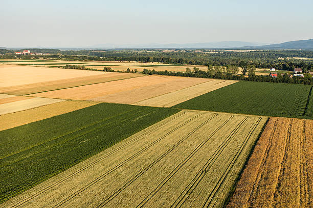 istock aerial view of harvest fields 496518538