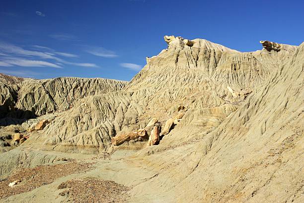 istock Landscape in Patagonia 496518585