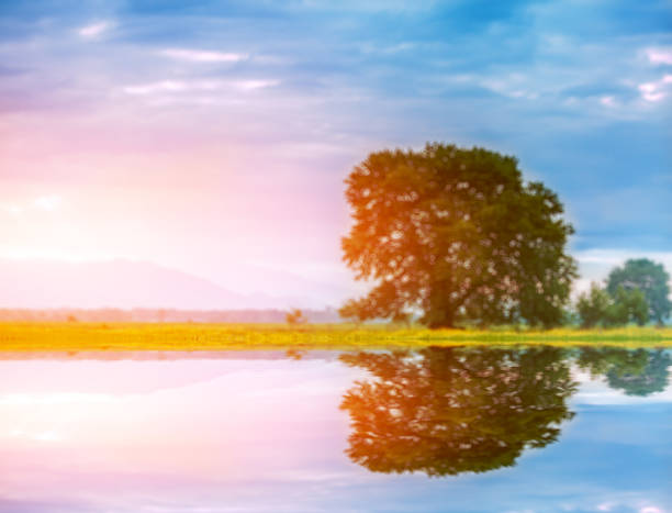 istock Natural Landscape in Kakheti region 496519324