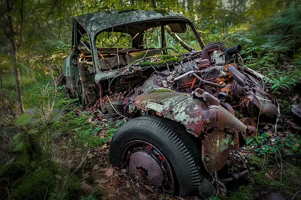 Photo of Rusty abandoned car in forest