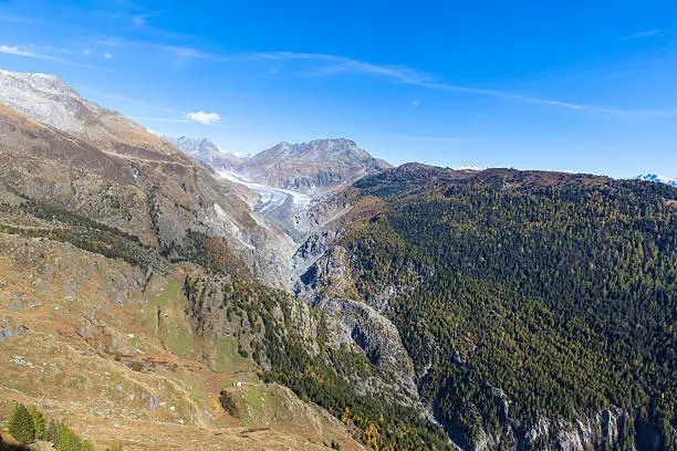 Aerial view of Aletsch glacier with Eggishorn in background and corlorful trees in golden autumn, Canton of Valais, Switzerland