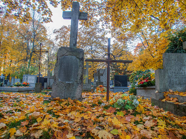 cimitero - cenotaph foto e immagini stock
