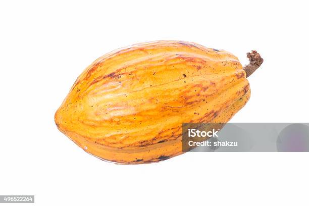 Cacao Pod Isolated On White Stock Photo - Download Image Now - Cacao Fruit, Plant Pod, White Background