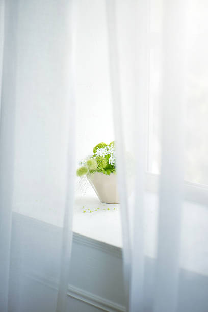 White curtains and bouquets
