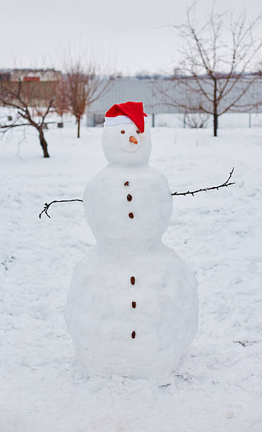 istock Real snowman outdoors 496525158