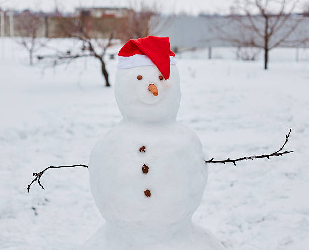 istock Real snowman outdoors 496525170