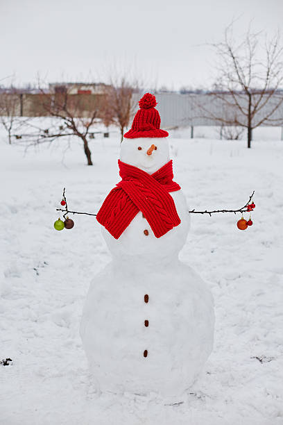 istock Real snowman outdoors 496525174