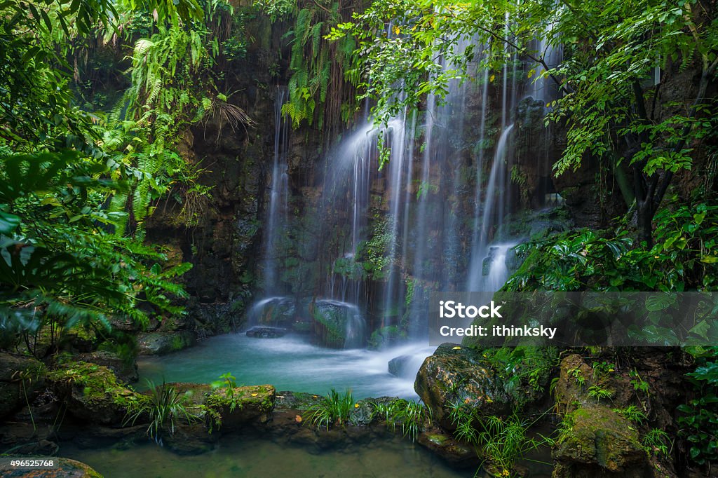 Natural waterfall Beautiful waterfall in the rainforest  Waterfall Stock Photo