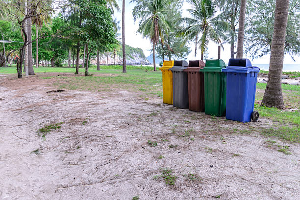 istock colorful trashcan at forest seaside. 496542508