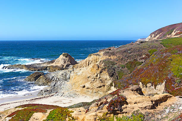 istock The Bodega Head promontory of Bodega Bay. 496544028