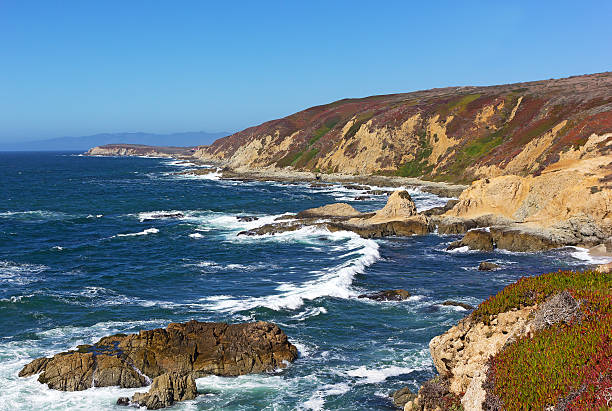 istock Panoramic view of the rocky and rugged Pacific coastal line. 496544044