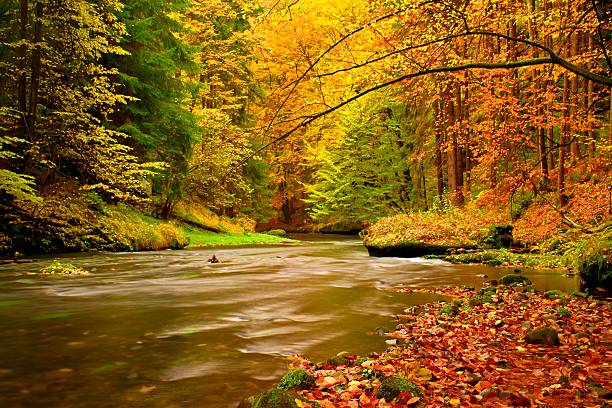 istock Autumn mountain river. Blurred waves,, fresh mossy boulders on bank 496544276